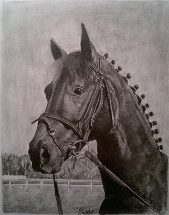 Kůň - kresba Anéz